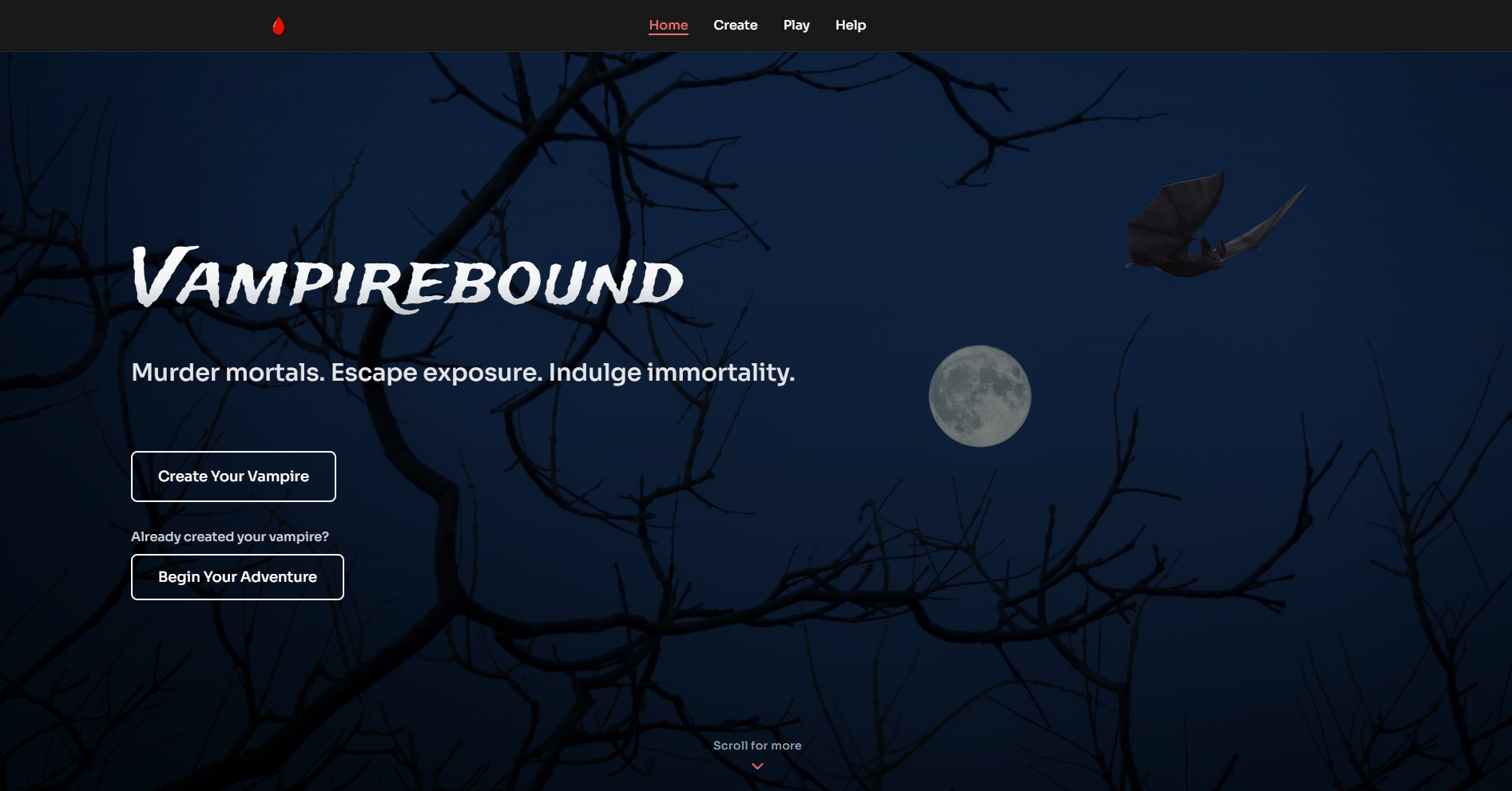 Image preview of project